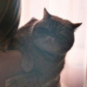 Meet your Posher, Harry